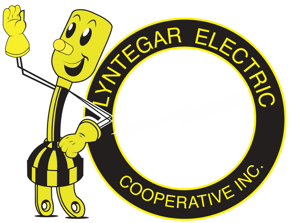 Lyntegar logo white thunderbolt